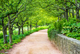 Path to English Walled Garden, Chicago Botanic Garden, Glencoe, IL