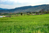 Village