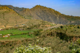 Village