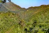 Village