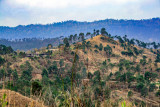 Village