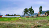 Houses