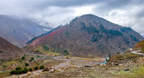 Village