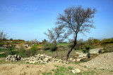 Village