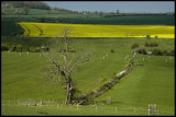 Near Corston  Bath.jpg