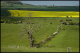 Near Corston  Bath.jpg