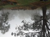 photo 3-1.JPG