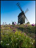 Windmills near Resmo