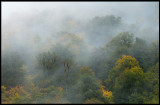 Evening fog along the road to Xinaliq - Caucasus