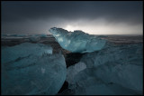 Ice bird melting at the beach near Jkulsarlon - Iceland