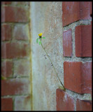Growing power….