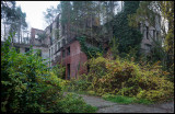 The ruin - destroyed during WW II