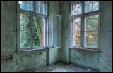 Forest outside windows