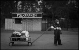Waiting for Christmas - Gemla Småland