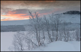 Kaisepakte near Torne träsk