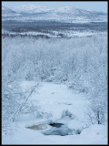 Still some open water near Bergfors (-20 degrees Celcius)