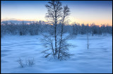 Morning light along the road to Nikkaluokta