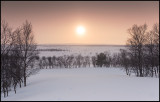 Along the road NW of Inari