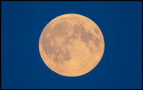 Moon-rise near Klinta - Öland