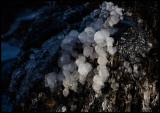 Ice-drops in Arild harbor - Scania