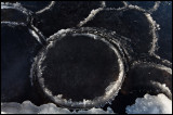 Ice plate - Kråkelund