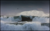 Big waves at Vik