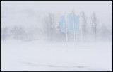 Hotel Iceland Air flags during storm