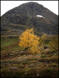 Autumn mountain near Laerdal