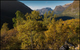 Autumn colors near Geiranger