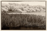 A frosty late afternoon at S Bergundasjön - Växjö