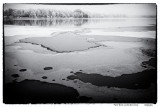 First ice on Växjösjön this winter