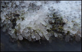 Ice in Gräsgård harbor - Öland