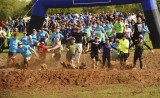 Gelt Gladiator 2015