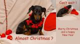 Xmas_2014.jpg