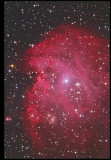 NGC 2174 - Monkey Head Nebula