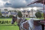 Muckross House and Gardens