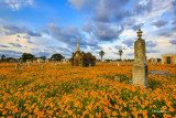 Old Galveston Cemetery 