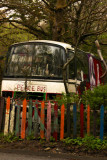 Peace bus