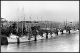 Shrimp Boats at Darien