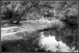 Canoochee River