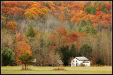 Smokey Mountains Homestead