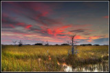 Everglades Sunset