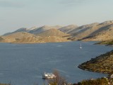 P1020067m.jpg