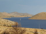 P1020068.JPG