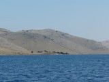 P1020151.JPG