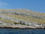 P1020276.JPG