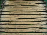 P1000857.JPG