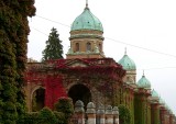 S3600784_cr.jpg