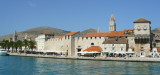 P1010400_cr.jpg