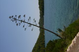 S3601859.JPG